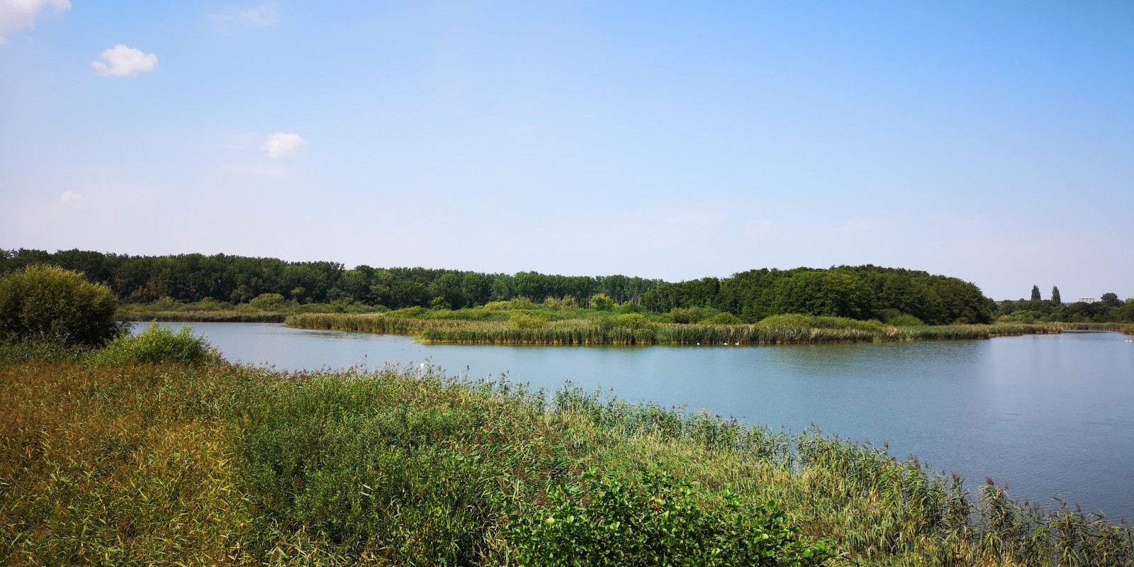 Ornitologická pozorovatelna Bohdanečský rybník | Birdingplaces