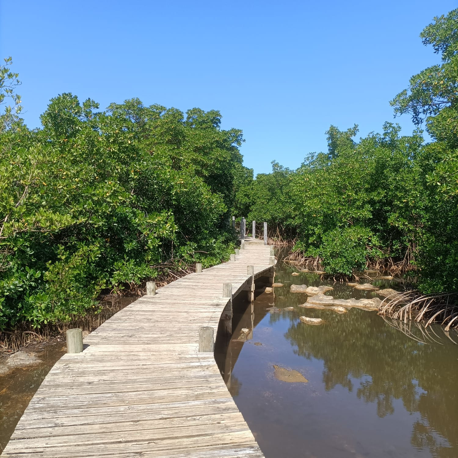 Têtes De Chevaliers Impériaux Warhammer 40K - Bits Non Assemblés Et Non Peints - Games Workshop