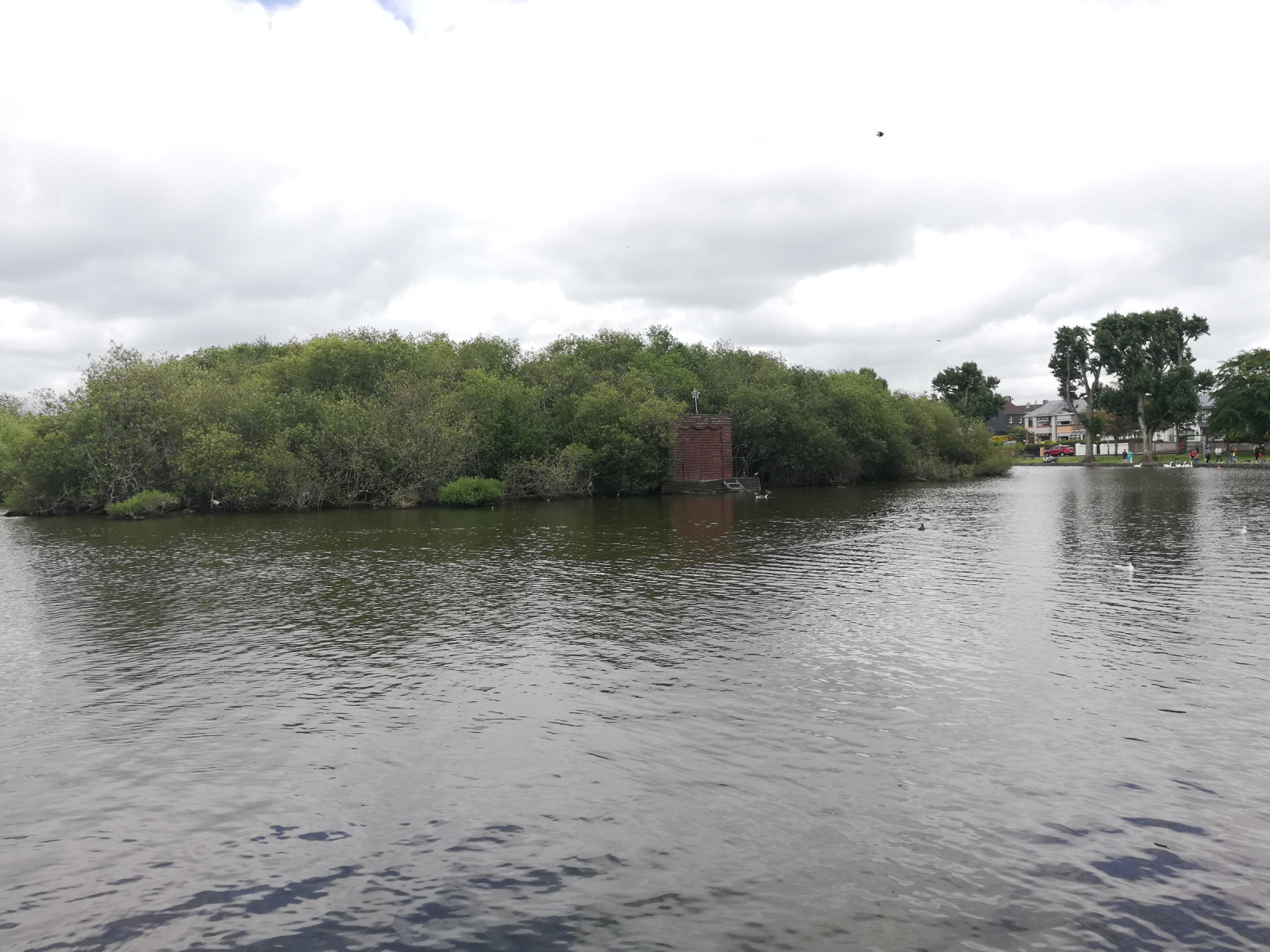 The Lough | Birdingplaces