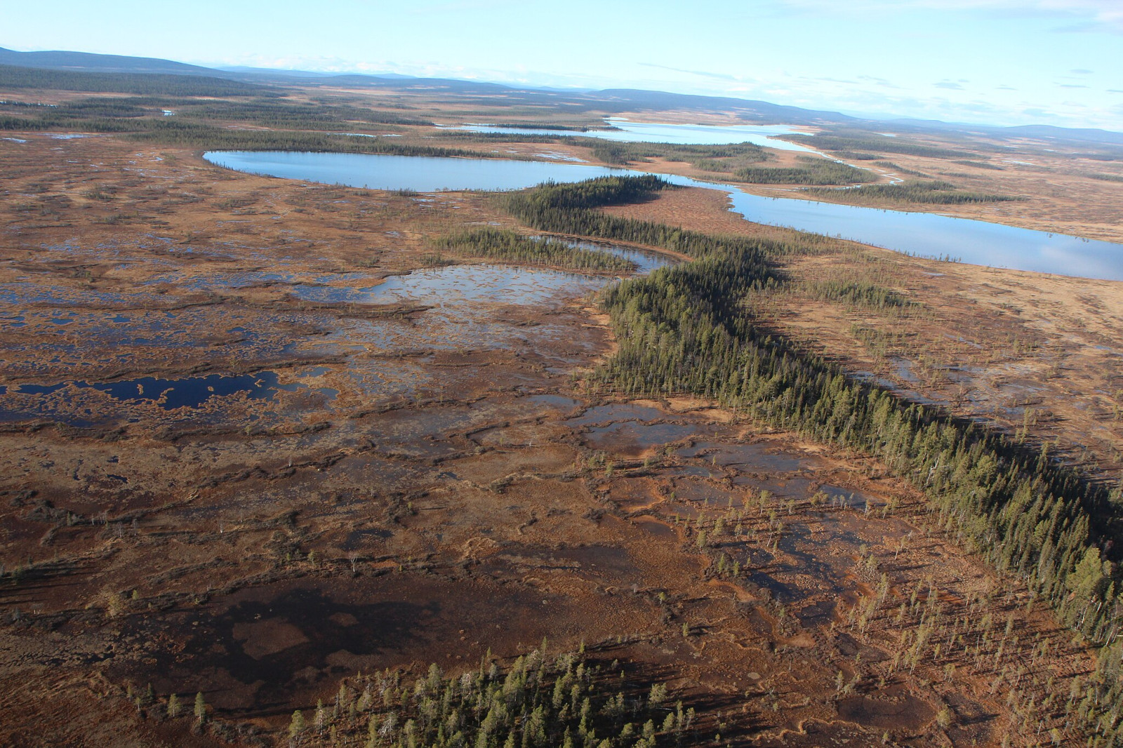 Muddus National Park | Birdingplaces