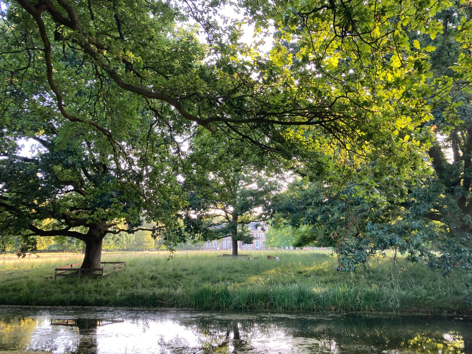 Landgoed Ampsen | Birdingplaces