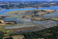 Réserve Naturelle des Marais de Séné