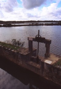 Marais de Pen en Toul