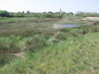 Plage & Marais du Branzais