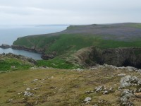 Skomer