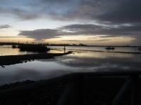 Cardiff Bay Wetlands Reserve