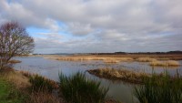 Marais de Pen Mané