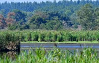 Cartierheide en Hapertse Heide