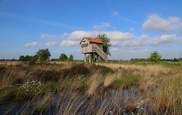 Recker Moor