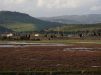 Old Campsite of the River Palmones