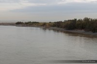 Natural Area Estuario del Rio Guadiaro