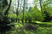 Neuer Friedhof Greifswald