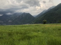 Pian di Spangna e Lago di Mezzola