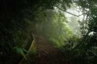 Levada track Ribeiro Frio