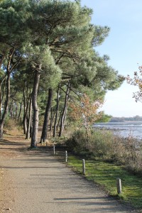 Pointe des Emigrés et rivière du Vincin