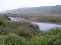 Lac Sidi Boughaba