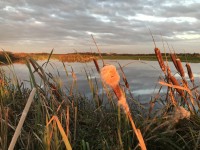 Oostelijke Binnenpolder