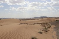 Desert around Merzouga