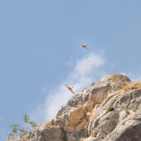 Desfiladero de San Martín de Ubierna