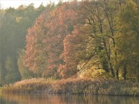 Grunewald - Krumme Lanke & Schlachtensee