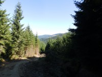 Mount Hoverla (2061 m)