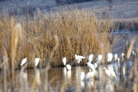 Varsolt Reservoir