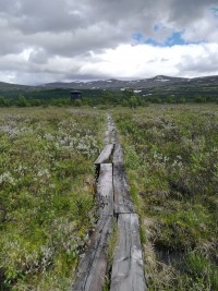 Fokstumyra Nature Reserve