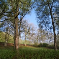 Hermelsbacher Friedhof