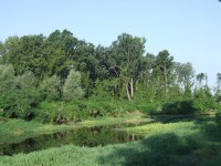 Kožara – The Danube Foreland Reserve