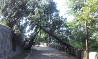 Avala Mountain Nature Reserve