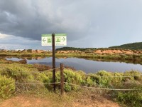 Ses Salines - Sal Rossa