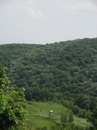 Fruška Gora National Park