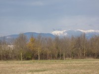 Parco dell'Adige Nord