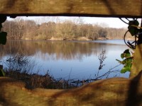 Noordhollands Duinreservaat - Karpervijver