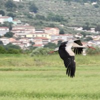 Fiume Tanagro Sala Consilina