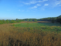 Granica - Kampinos National Park