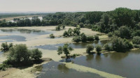 Beljarica – The Danube Foreland Reserve