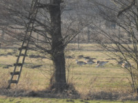 Belziger Landschaftswiesen