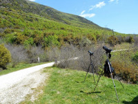 Lake Kerkini NP - Beles Mountain