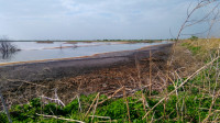 Sugar Plant Ponds near Pećinci