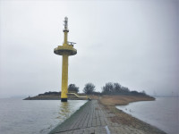 Salt Marsh Langlütjen I