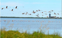 Laguna della Rosa