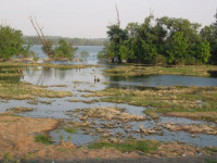 Labudovo Okno Nature Reserve – Dubovački Rit