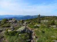 Réserve Naturelle de Tanet - Gazon du Faing