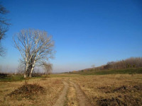 Sugar Plant Ponds near Kovin