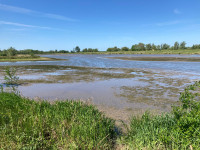 Hooge Hof - Biesbosch National Park