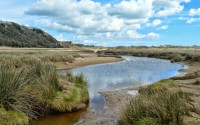 Oxwich National Nature Reserve