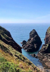 Arbroath Cliffs and Harbour