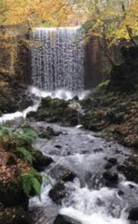 Waun Las National Nature Reserve