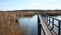 Pershore Community Wetland